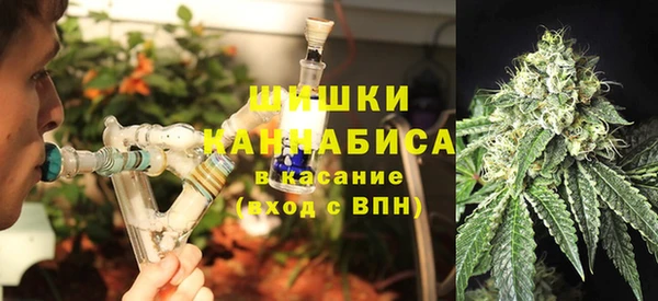 гидропоника Алзамай