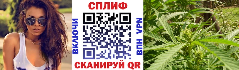где купить наркотик Алексин Марихуана индика